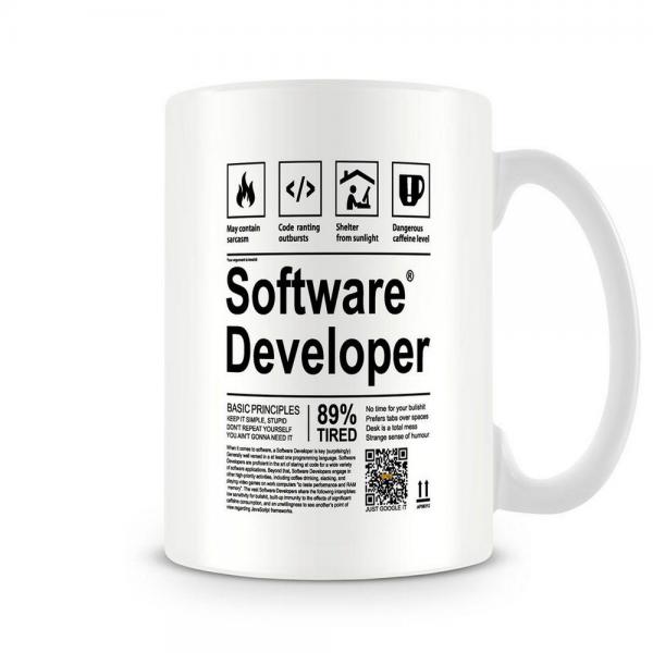 An Introduction to Professional Software Development